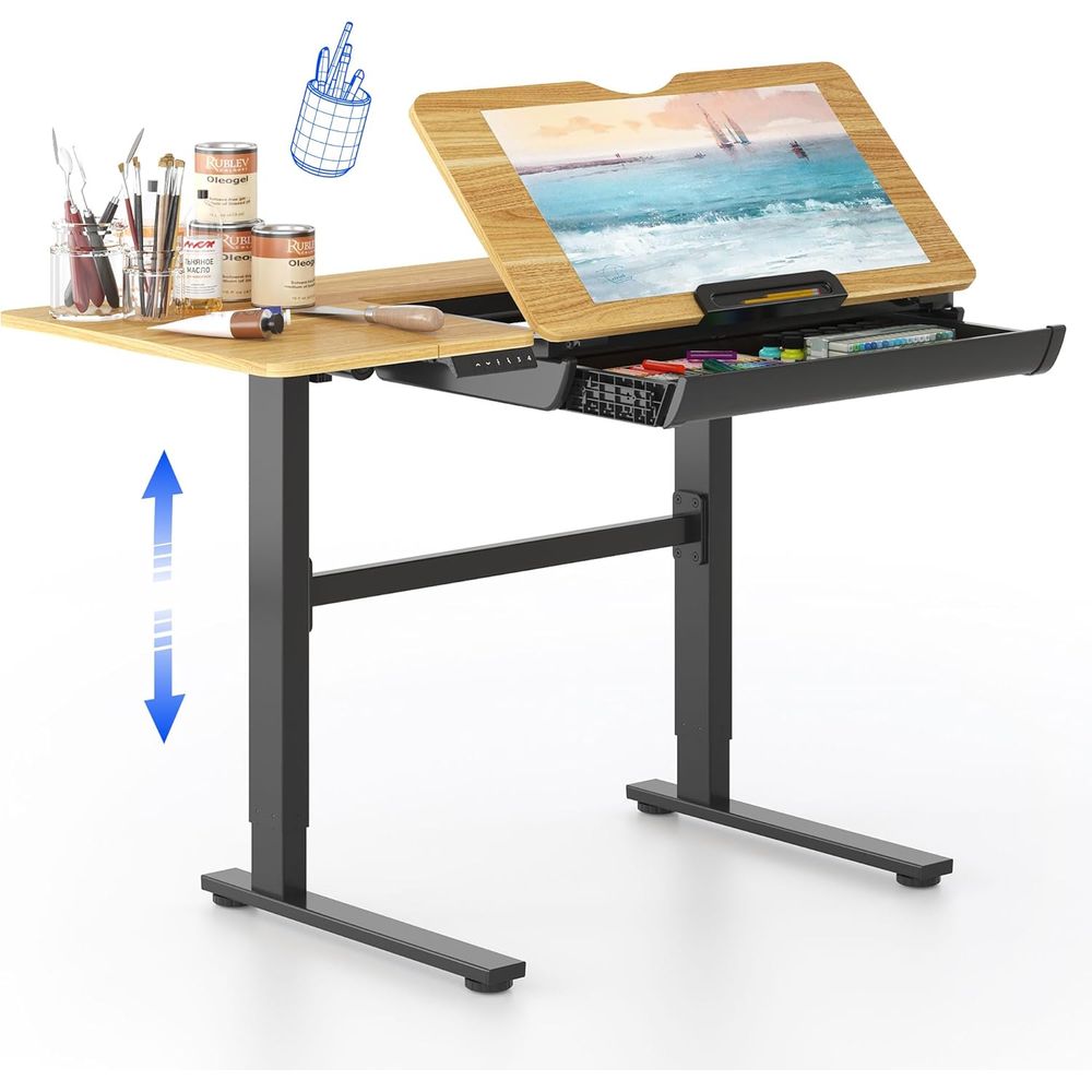 Art & Craft Teacher - Adjustable Height Electric Standing Desk, 47.2x23.6,