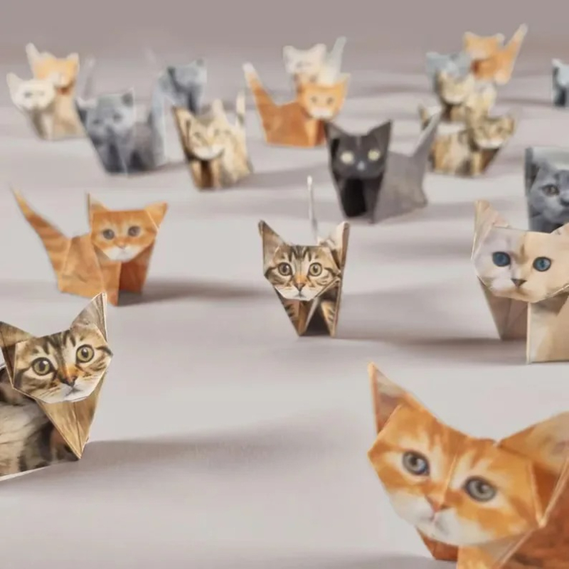 Creative DIY Origami Paper Set - đánh giá và giá Art Craft Cat