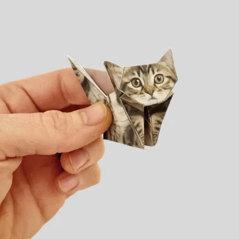 Creative DIY Origami Paper Set - đánh giá và giá Art Craft Cat