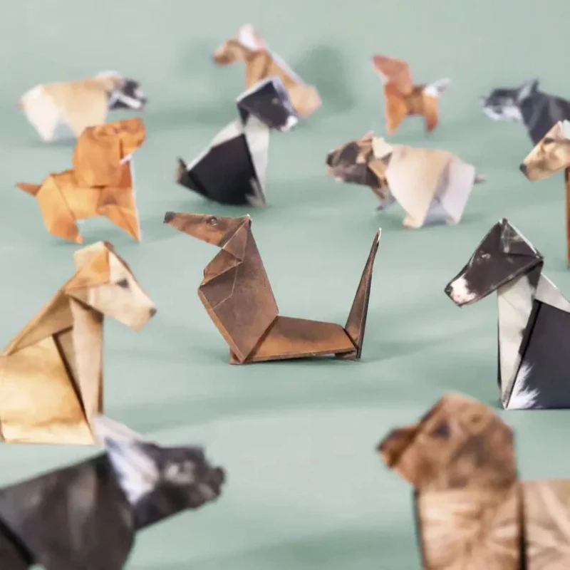 Creative DIY Origami Paper Set - đánh giá và giá Art Craft Cat