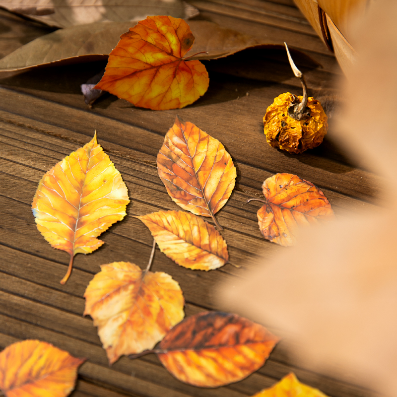 Journal GO 20pcs Golden Autumn - đánh giá và giá Art And Craft Autumn