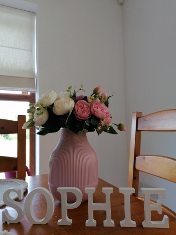 1pc 8CM White Wooden Letter En - đánh giá và giá Letter S Art Craft